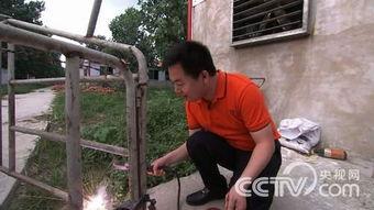 陈老师养猪在线视频,揭秘养猪业的秘密与技巧 第2张 陈老师养猪在线视频,揭秘养猪业的秘密与技巧 第2张