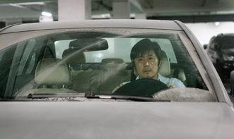 电影秋田在线视频,穿越时空的秋田犬传奇  第2张