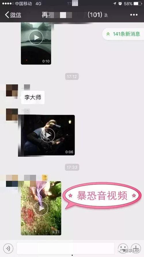 十号在线视频,探索未知领域的深度解析