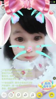 骚宝在线视频,揭秘网络红人的魅力与影响力