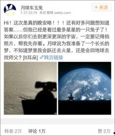 玉兔视频免费在线视频,免费畅享海量在线视频盛宴 第1张 玉兔视频免费在线视频,免费畅享海量在线视频盛宴 第1张