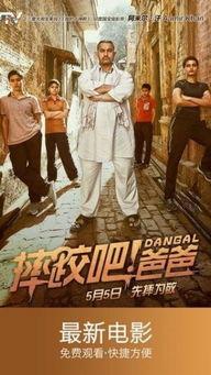 七里郎在线视频,探寻古韵风情，穿越时空的视听之旅