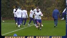 希奇在线视频播放,探索无限创意的视听盛宴  第3张