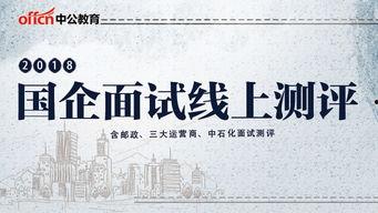 邮政在线视频面试前测试,全面准备指南