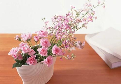 使劲插花心在线视频,在线视频带你领略花心之美 第3张 使劲插花心在线视频,在线视频带你领略花心之美 第3张