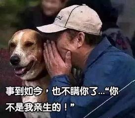 主人调教在线视频 第3张 主人调教在线视频 第3张