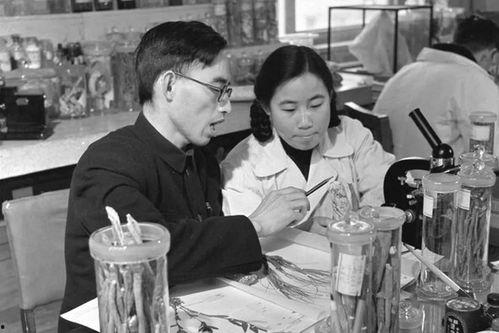 中医余洋老师在线视频,在线视频中的养生秘诀解析  第3张