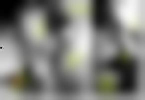 欧美亚洲国产综合在线视频,欧美亚洲国产综合在线视频大观 第3张 欧美亚洲国产综合在线视频,欧美亚洲国产综合在线视频大观 第3张