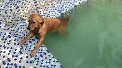 酷迪在线视频,探索科技与娱乐的完美融合