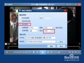 截取在线视频  第3张