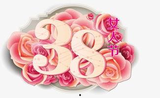 日三八高清在线视频